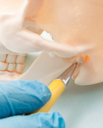 Dentist pointing to jaw joint on model of skull